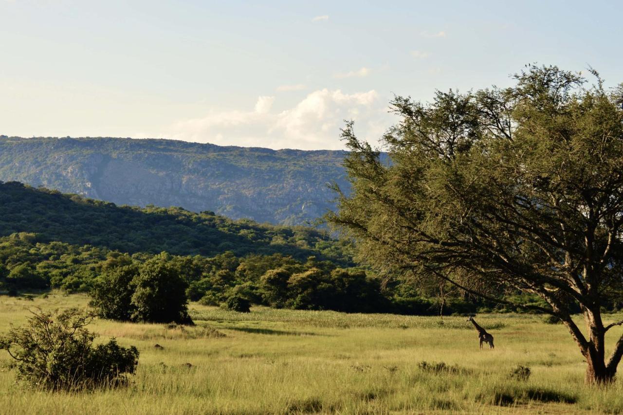 Vila Leshiba Wilderness Louis Trichardt Exteriér fotografie