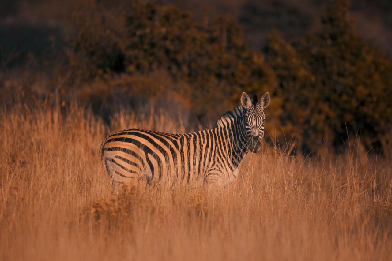 Vila Leshiba Wilderness Louis Trichardt Exteriér fotografie